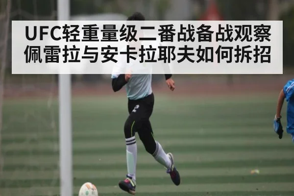 UFC轻重量级二番战备战观察 佩雷拉与安卡拉耶夫如何拆招